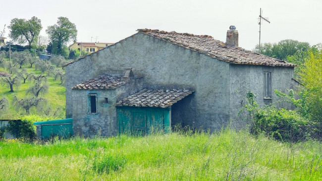 Homestead for sale in Amelia