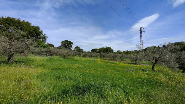 Homestead for sale in Amelia