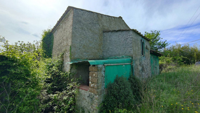 Homestead for sale in Amelia