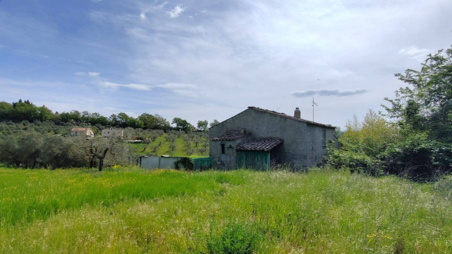 Homestead for sale in Amelia