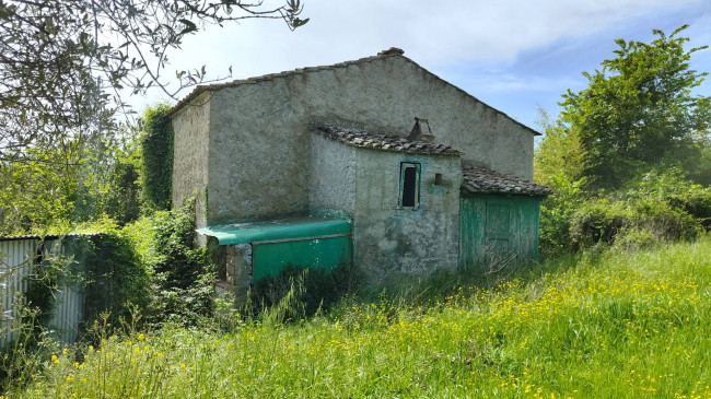 Homestead for sale in Amelia