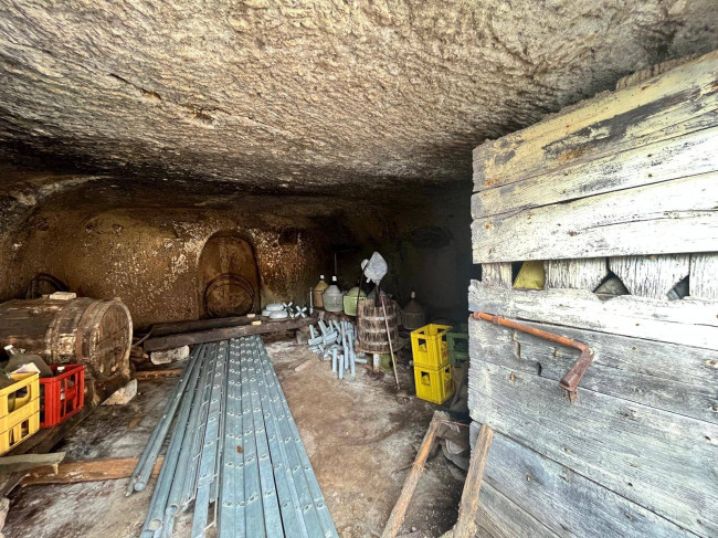 Cantina in vendita a Bassano in Teverina