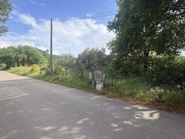 Agricultural Land for sale in Vitorchiano