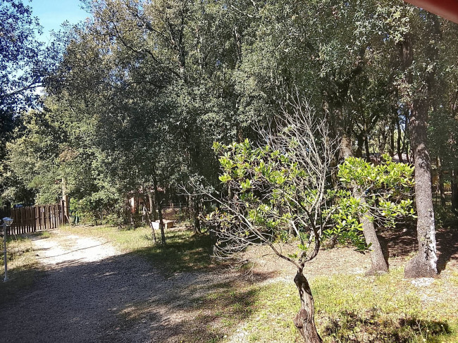 Single House for sale in Narni