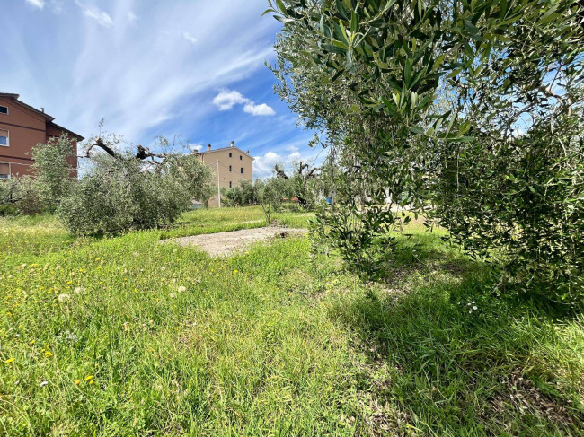 Land for sale in Orte