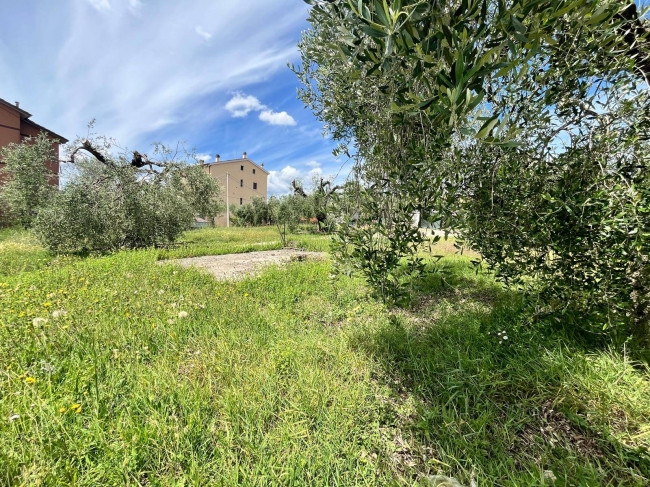 Land for sale in Orte