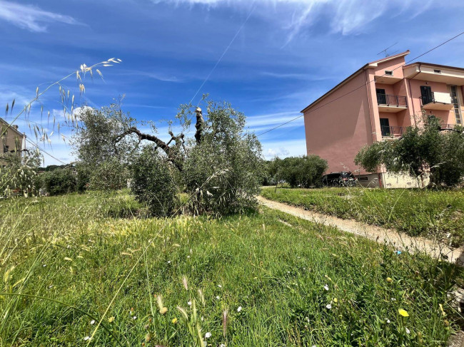 Land for sale in Orte