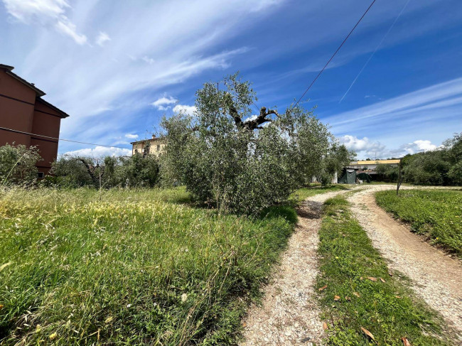 Land for sale in Orte