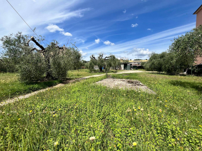 Land for sale in Orte