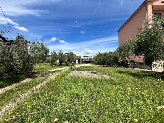Land for sale in Orte