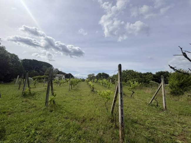 Villa for sale in Graffignano
