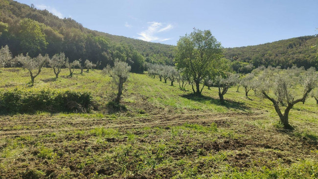 Homestead for sale in Guardea
