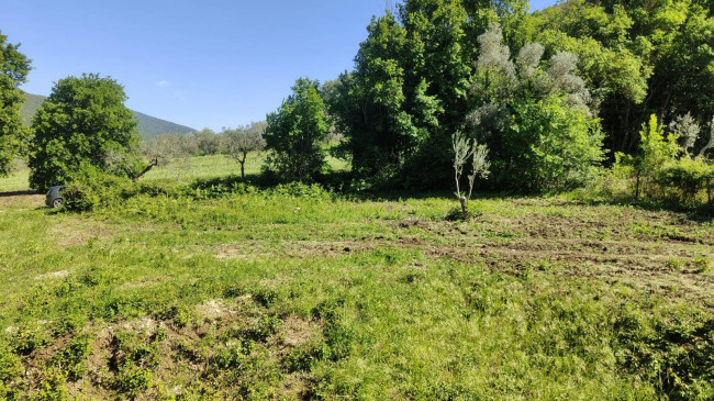 Homestead for sale in Guardea