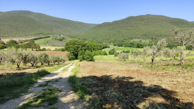 Homestead for sale in Guardea