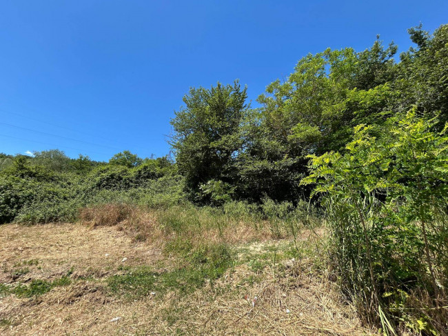 Land for sale in Orte