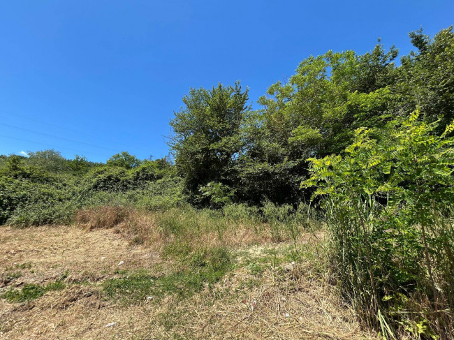 Land for sale in Orte