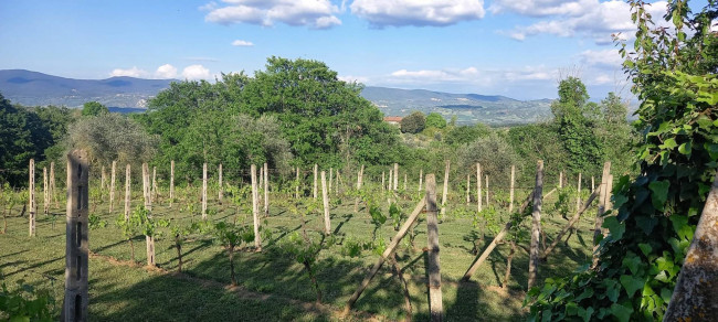 Villa for sale in Graffignano
