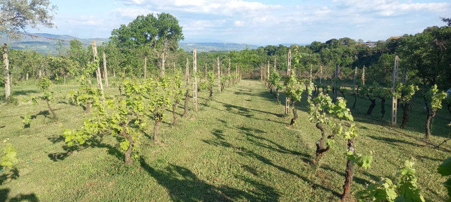 Villa for sale in Graffignano
