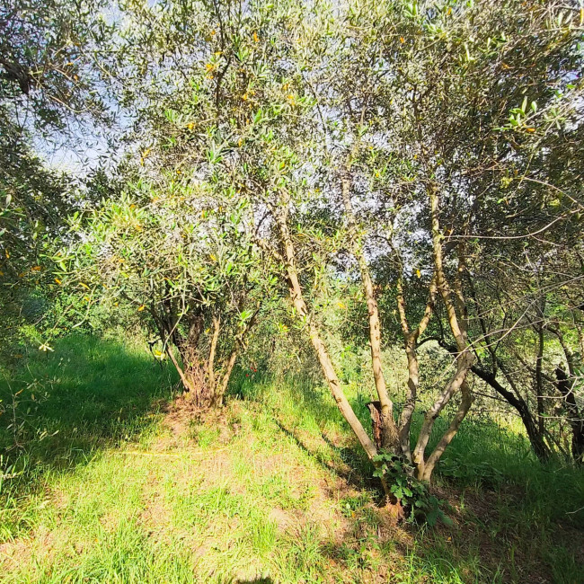 Single House for sale in Soriano nel Cimino