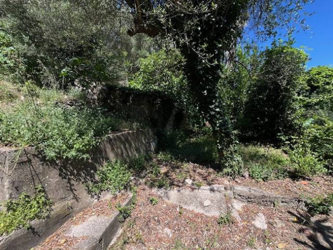 Casa singola in vendita a Narni