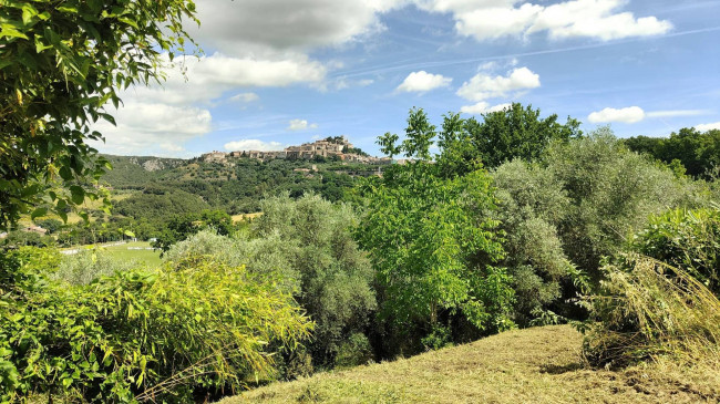 Casale in vendita a Amelia