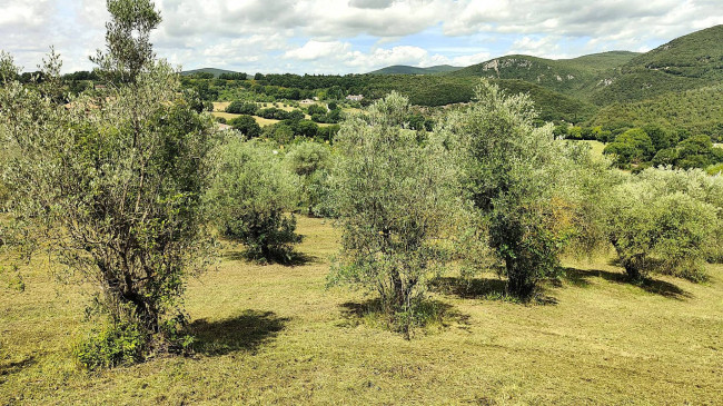 Terreno Agricolo in vendita a Amelia