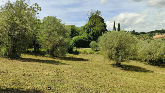 Terreno Agricolo in vendita a Amelia