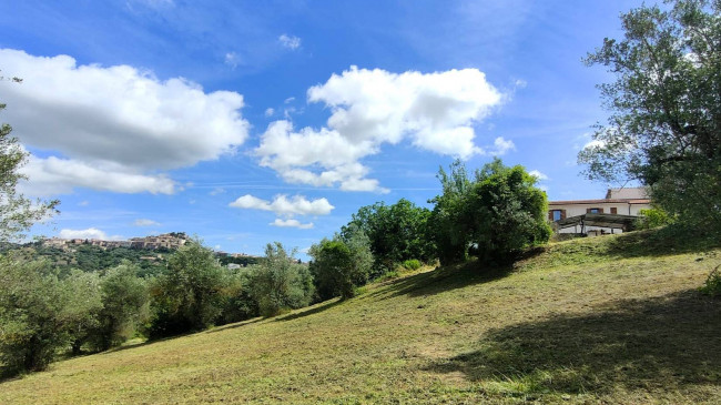 Terreno Agricolo in vendita a Amelia