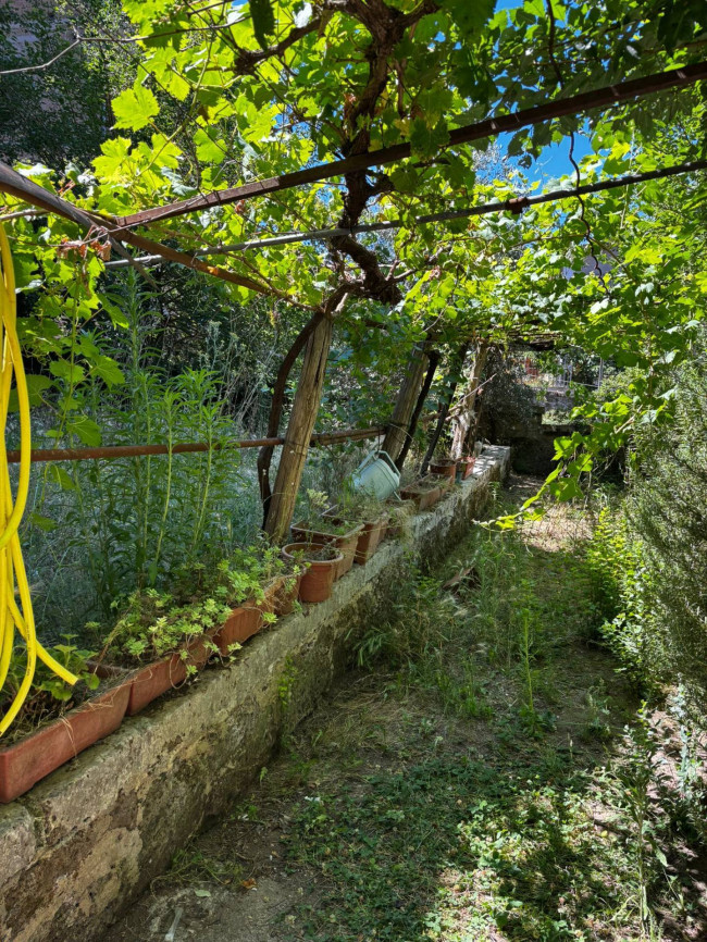 Appartamento in vendita a Vasanello