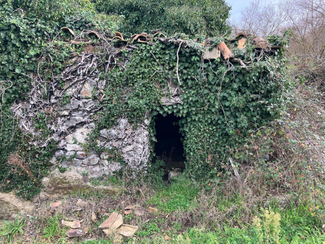 Terreno Agricolo in vendita a Soriano nel Cimino