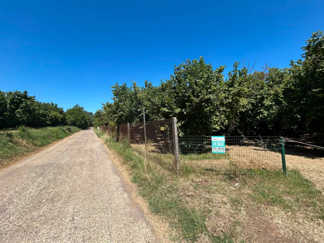 Terreno Agricolo in vendita a Vasanello