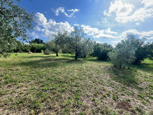 Terreno edificabile in vendita a Vasanello
