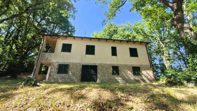 Casa singola in vendita a Montecastrilli