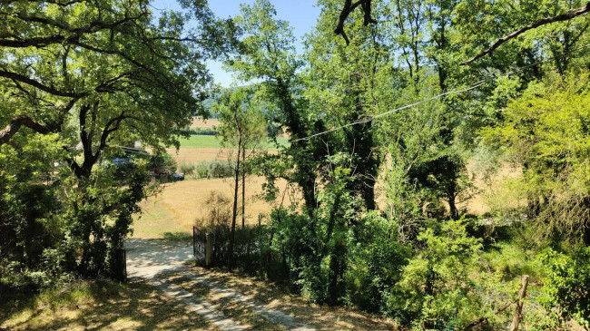 Casa singola in vendita a Montecastrilli