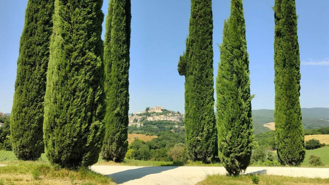 Casale in affitto a Amelia