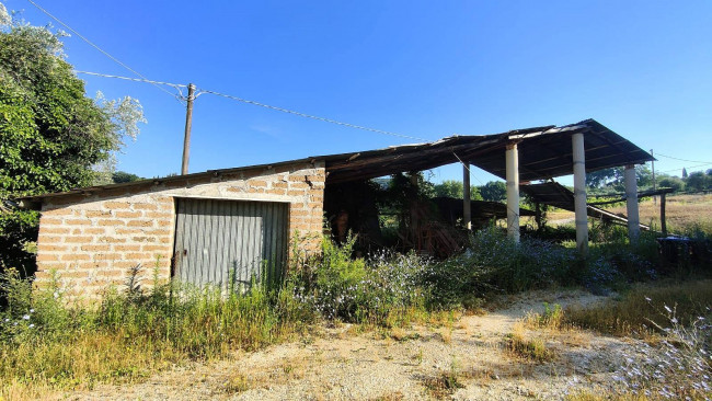 Casa singola in vendita a Amelia