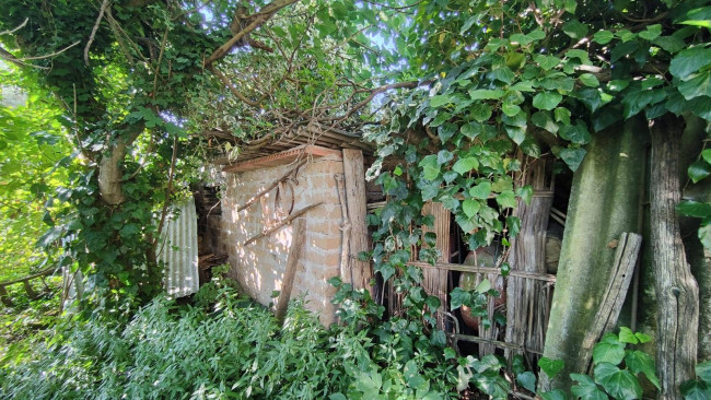 Casa singola in vendita a Amelia