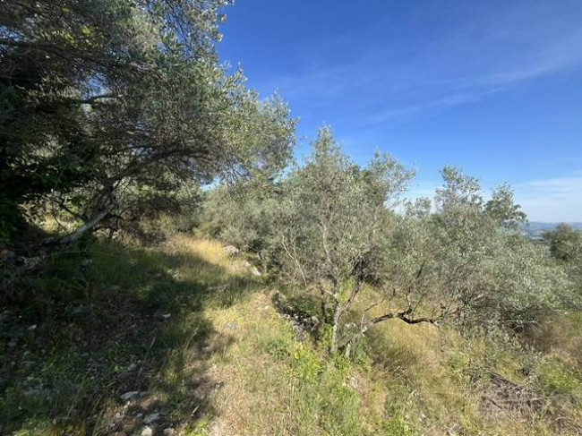 Casa singola in vendita a Narni