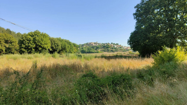 Terreno Agricolo in vendita a Amelia