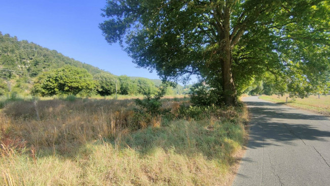Terreno Agricolo in vendita a Amelia
