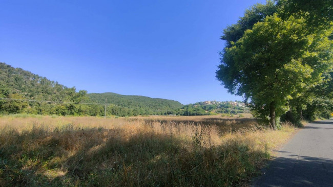Terreno Agricolo in vendita a Amelia