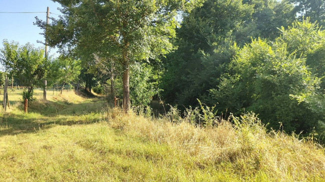 Terreno Agricolo in vendita a Amelia