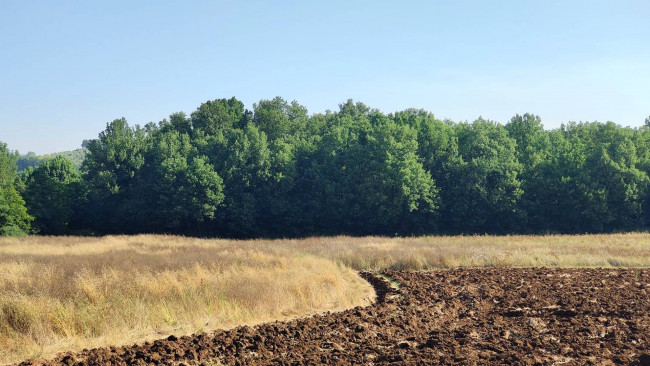 Terreno Agricolo in vendita a Amelia