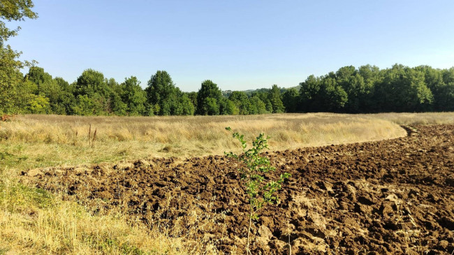 Terreno Agricolo in vendita a Amelia