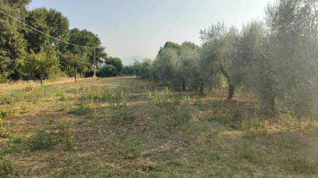 Villa in vendita a Amelia