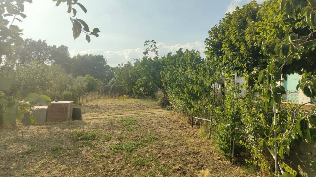 Villa in vendita a Amelia