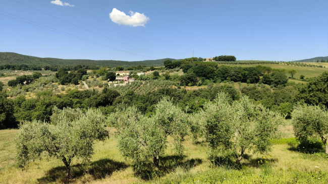 Villa in vendita a Amelia
