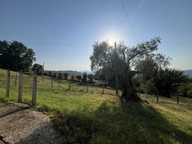 Casa singola in vendita a Narni