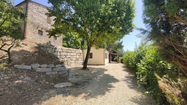 Casa singola in affitto a Amelia