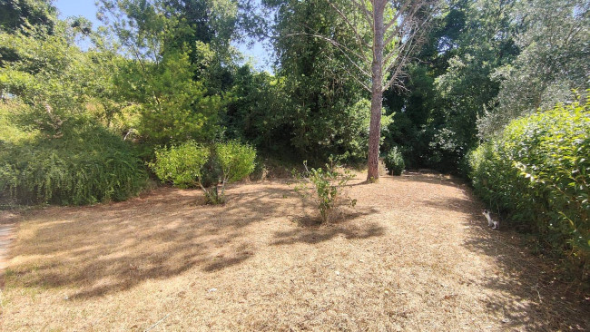 Casa singola in affitto a Amelia